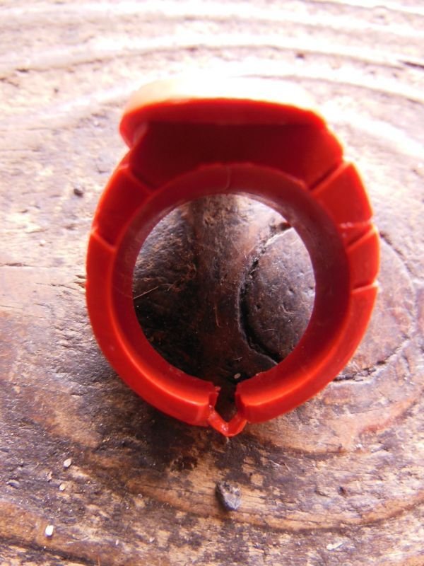 画像6: 1960'S〜 DEADSTOCK RED SKULL PLASTIC TOY RING