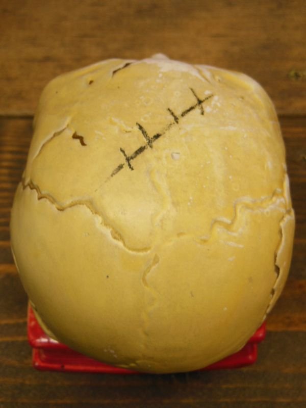 画像9: 1950'S〜 SKULL ON BOOK BANK ヴィンテージ陶器製スカル骸骨貯金箱2