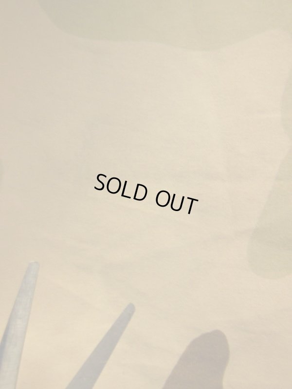 画像20: 2000'S ECWCS GORE-TEX PARKA/DESERT CAMO  SZ/SMALL-SHORT