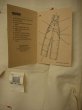 画像5: 1990'S DEADSTOCK CARHARTT CARPENTER WKNEE OVERALLS LOT/7FB 36X34 (5)